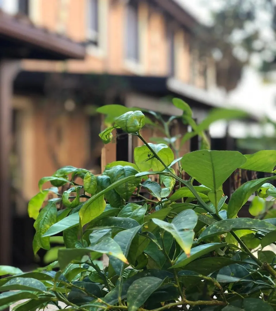 ***  Hotel El Sombrero Licata Italien